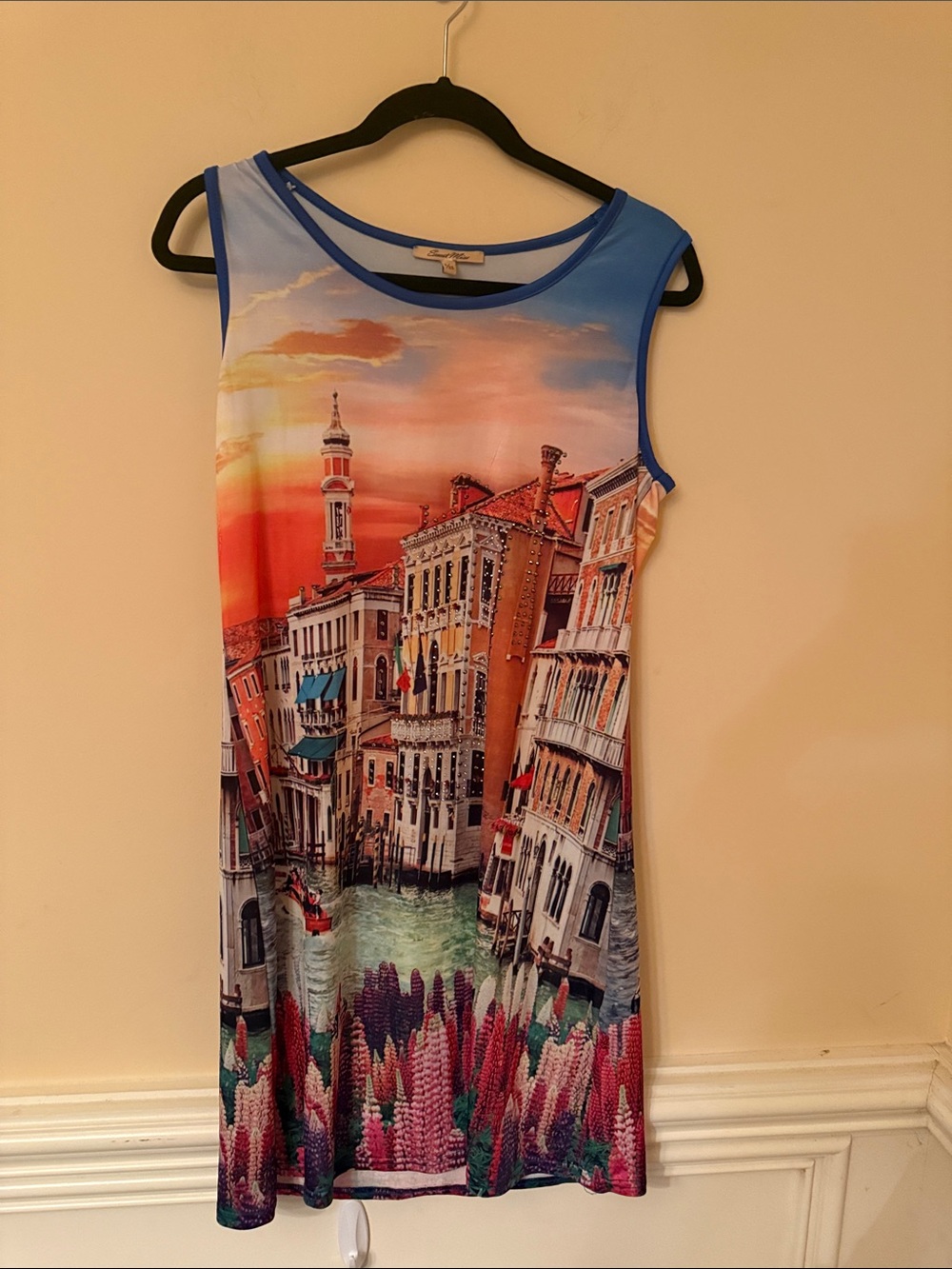 Sweet Miss Scenic‎ Print Sleeveless Shift Dress in Blue and Multicolor Large/XL